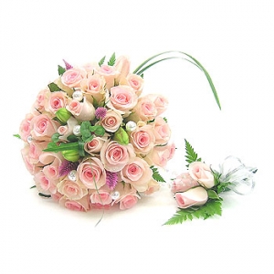 �󼼳��뺸��