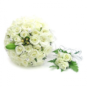 �󼼳��뺸��